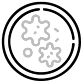 Icons-11 (1)